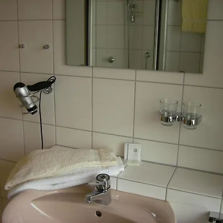Zum Hirschen Guest house 3*