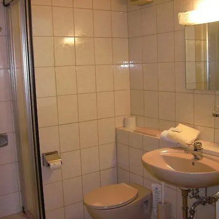 Zum Hirschen Guest house 3*