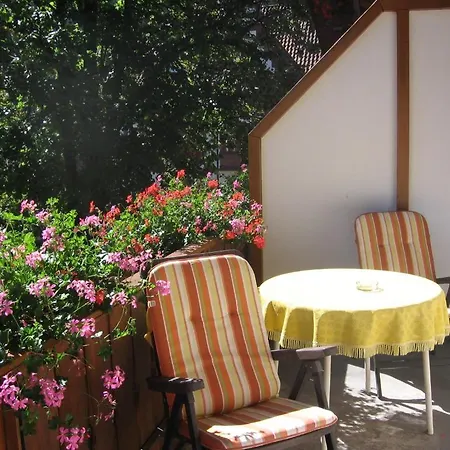 Zum Hirschen Guest house